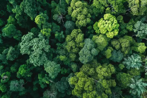 Overall emissions have reduced by 13%